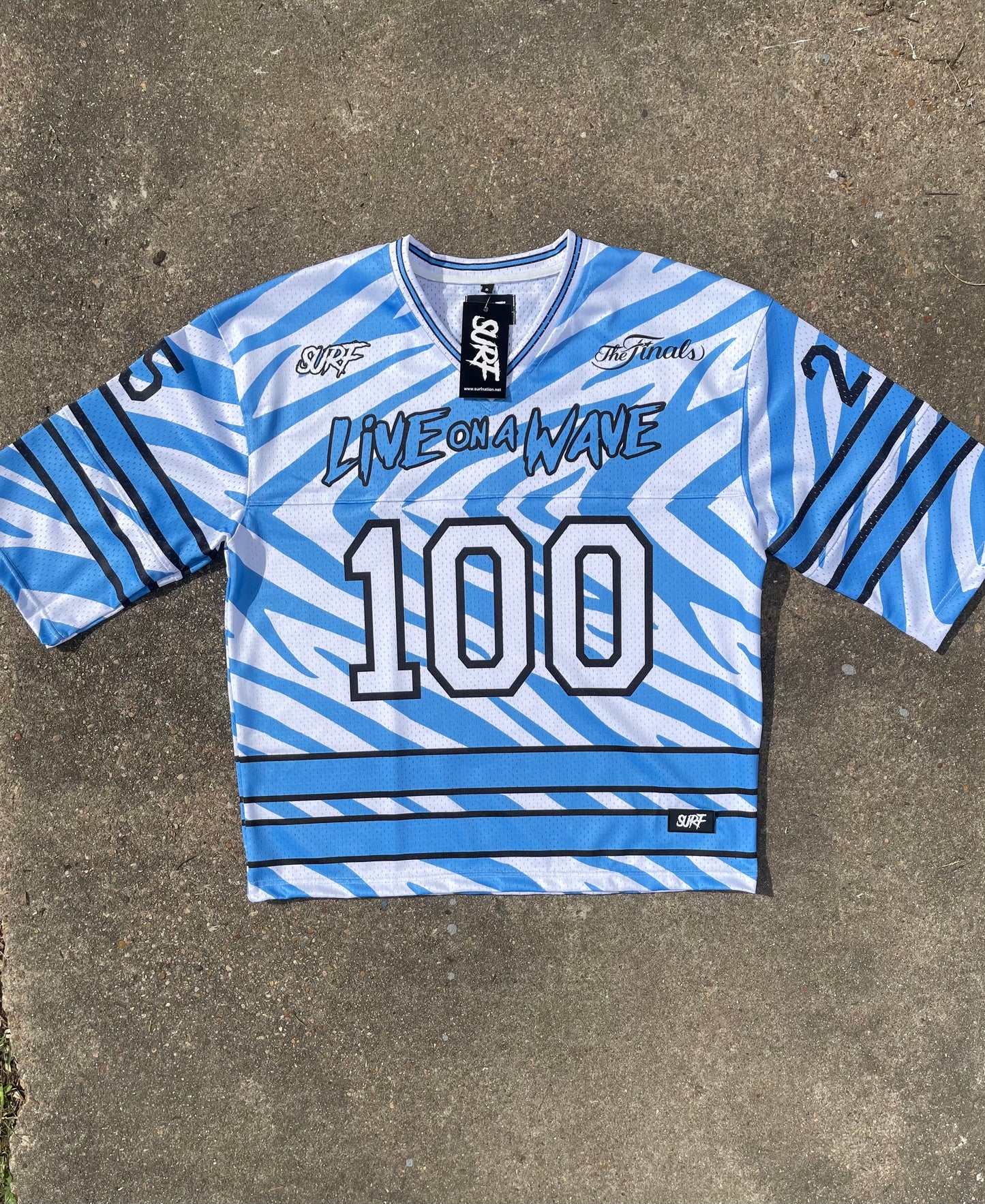 Sky Blue/white Zebra Print