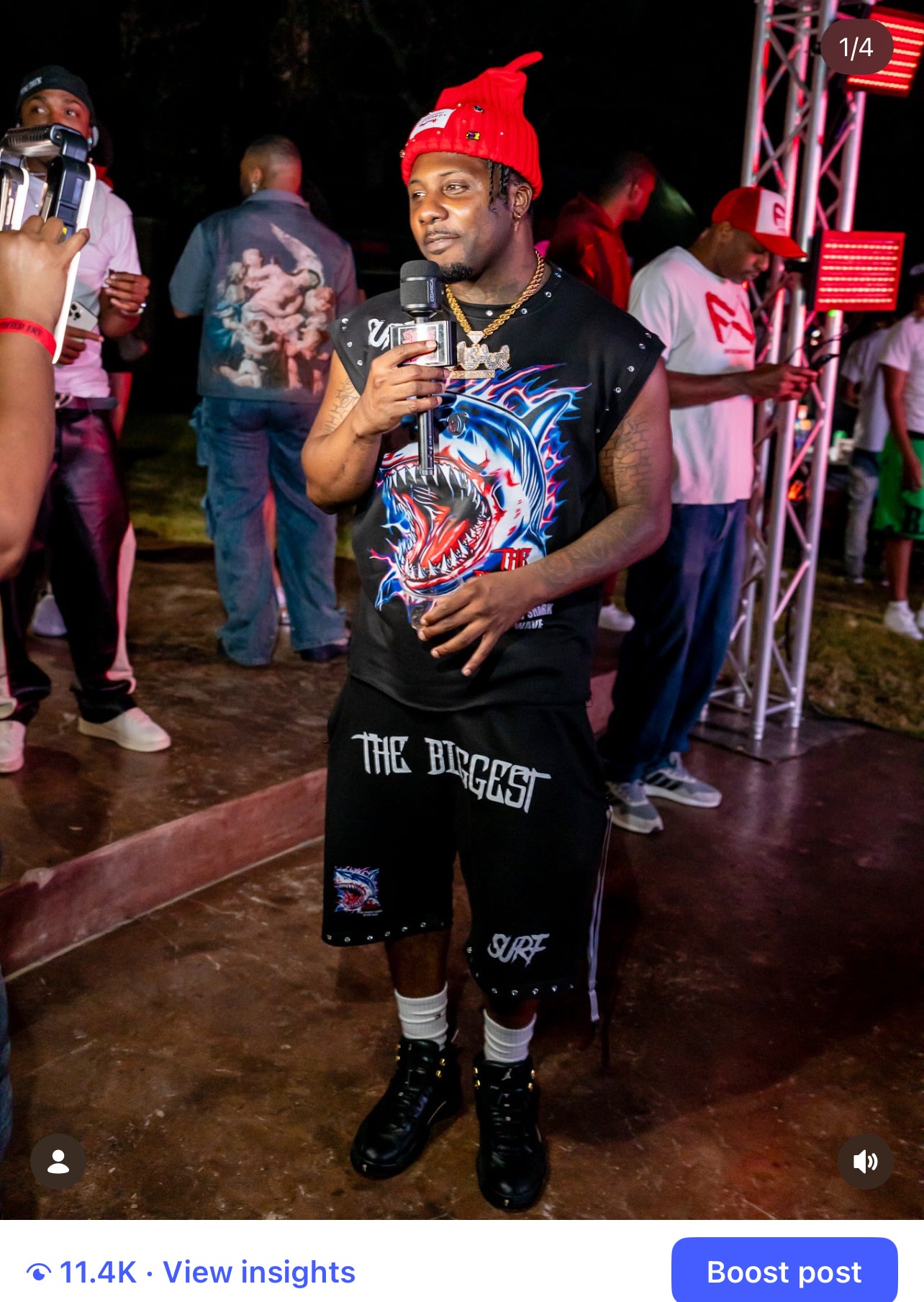Shark Fest Shorts
