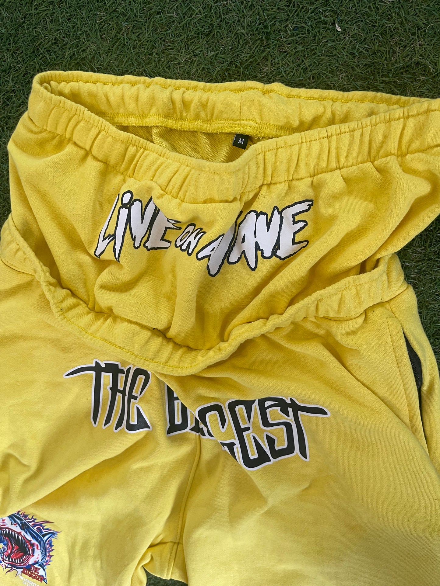Yellow Shark Set