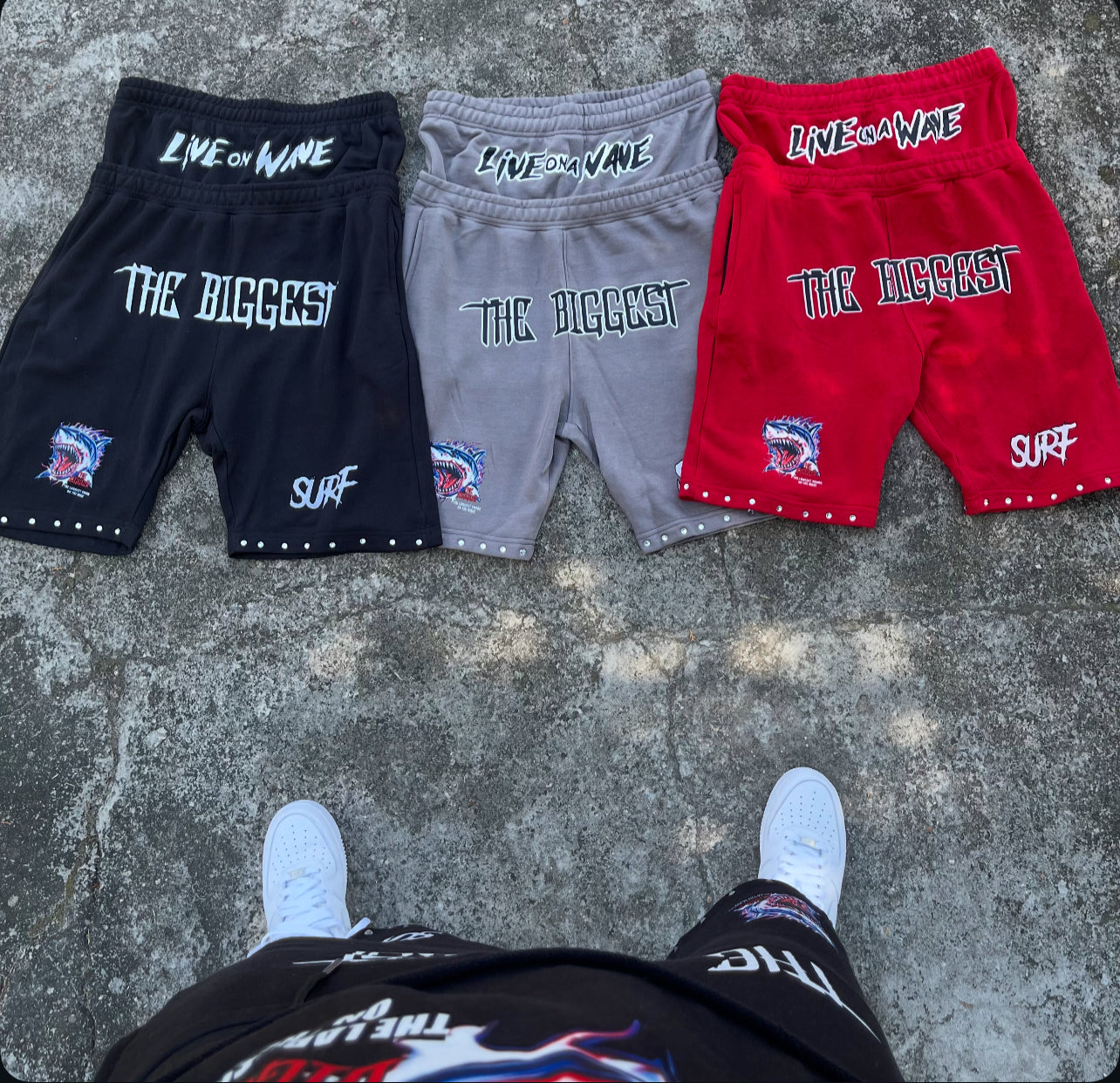 Shark Fest Shorts