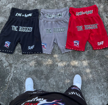 Shark Fest Shorts