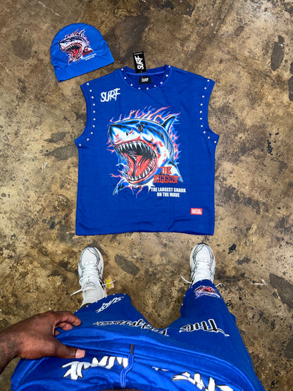 Blue Shark Set