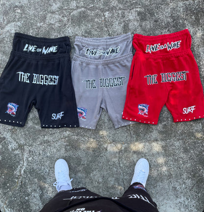 Shark Fest Shorts
