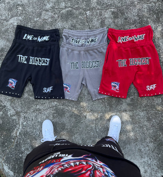 Shark Fest Shorts